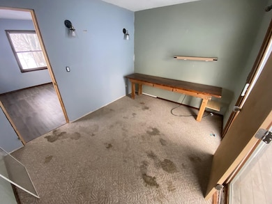 1070 Roosevelt St, Dubuque, IA 52001 - photo 3