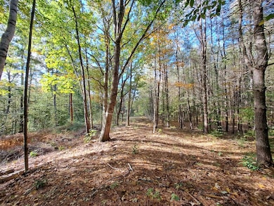 Lot 4 Nh Route 49, Thornton, NH 03285 - photo 7