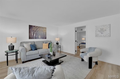 504 Thornlea Ct, Ballwin, MO 63011 - photo 3