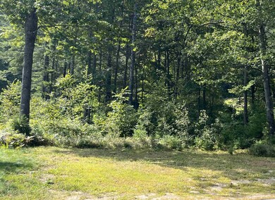 67 Fairway Dr, Hale's Location, NH 03860 - photo 5