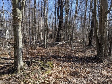 Lot 705, Aspen Terrace, Tobyhanna, PA 18466 - photo 3