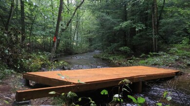 0 Manning Hill Rd, Winchester, NH 03470 - photo 6