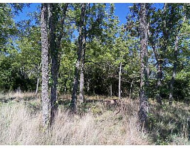 16248 Onda Mountain Rd, West Fork, AR 72774 - photo 4