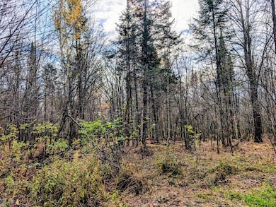 E N 20 School Rd, Glen Flora, WI 54526 - photo 4