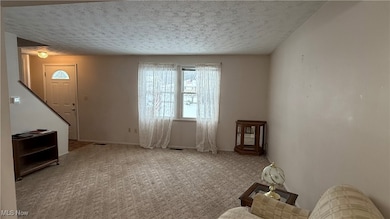 392 Earl Dr NW, Warren, OH 44483 - photo 2