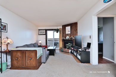 52 N Pistakee Lake Rd unit 8, Fox Lake, IL 60020 - photo 5