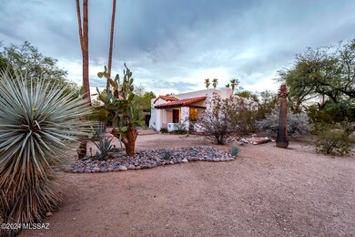 front yard and trees