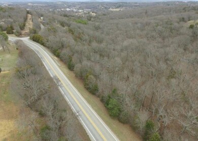 5.78AC Dotson St, Huntsville, AR 72740 - photo 7