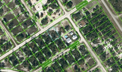 455 Gloria Blvd, Lake Placid, FL 33852 - photo 2