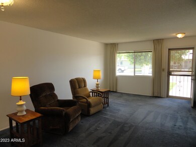 13202 N 109th Ave unit 164, Sun City, AZ 85351 - photo 3