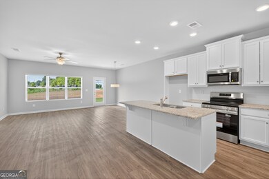 2817 Lillian Ln, Villa Rica, GA 30180 - photo 4