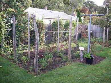 Yard/Garden.