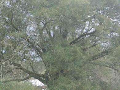 0 T C Brumfield Rd, Franklinton, LA 70438 - photo 3