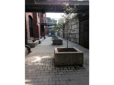 Yard/Garden.