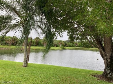 This is your LAKE VIEW!