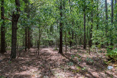 0 Brush Creek Rd unit 40, Hohenwald, TN 38462 - photo 6