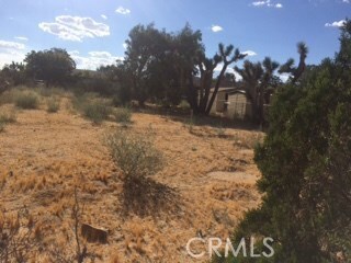 0 Indio Ave unit OC17204566, Yucca Valley, CA 92284 - photo 3