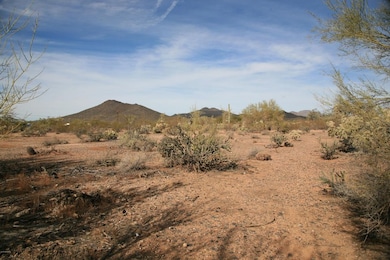 Looking NW from SEC