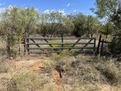 000 County Road 129, Brownwood, TX 76801 - photo 4