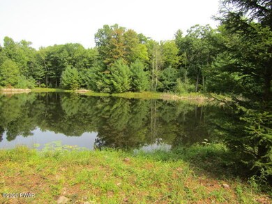 0 Bone Ridge Rd, Paupack Township, PA 18428 - photo 4