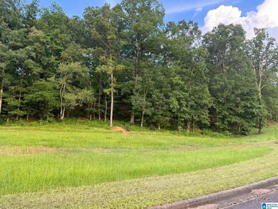 7577 Colonial Trace Cir unit 23, Bessemer, AL 35022 - photo 4