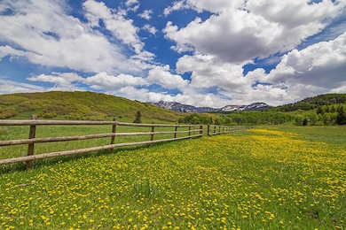 Fenced Pasture