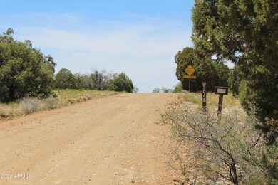 000 S Ash Creek Rd, Globe, AZ 85501 - photo 6