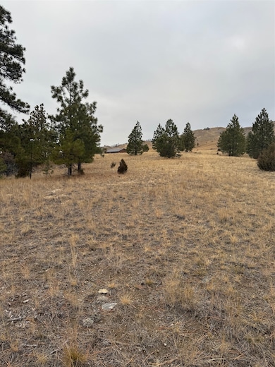 8550 Eagle View Rd, Helena, MT 59602 - photo 6