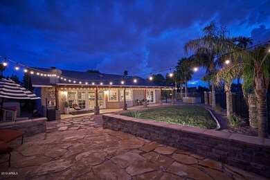 Night Backyard3