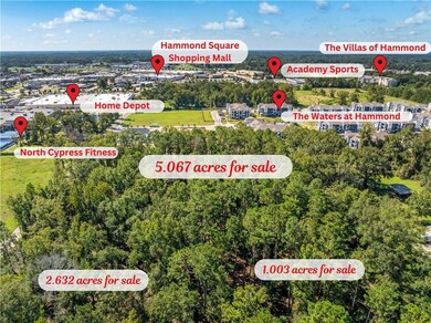 0 Bauerle Rd unit 2489585, Hammond, LA 70403 - photo 3