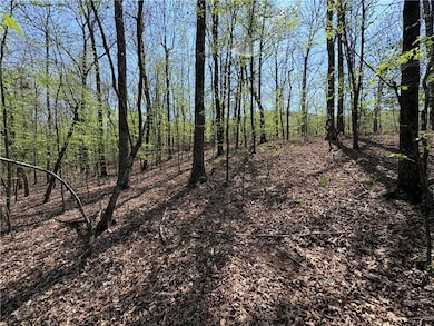 Tract 7 Nwf 517, Other Ar, AR 71935 - photo 4