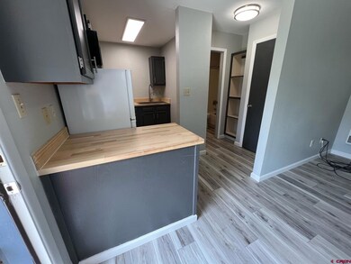 343 E 8th Ave, Durango, CO 81301 - photo 3