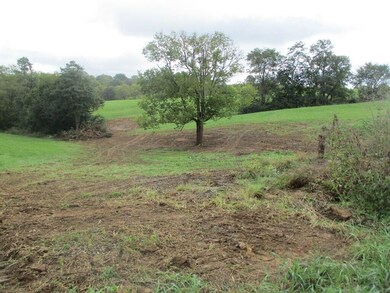 4097 Hilltop Rd, Ewing, KY 41039 - photo 2