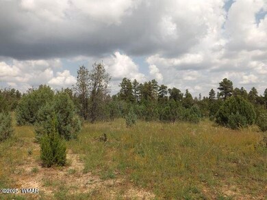 2697 Lost Way, Overgaard, AZ 85933 - photo 7