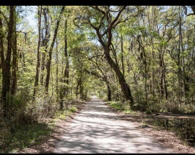 Lot 22 Hopkins Place Dr, Edisto Island, SC 29438 - photo 6