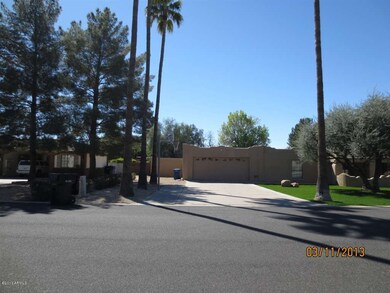 Palm lined driveway