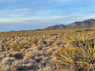 341 E Aardvark Rd, Pahrump, NV 89060 - photo 4