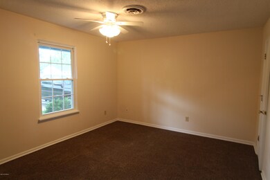 439 Palmetto Ct, Jacksonville, NC 28546 - photo 4