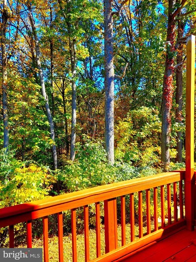 12511 Spring Harbor Place, Germantown, MD 20874 - photo 3