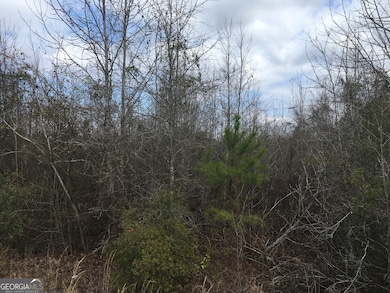 0 Dennard Hardy Rd unit 10460790, Gordon, GA 31031 - photo 3