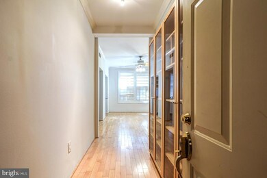 3120 R St NW unit 109, Washington, DC 20007 - photo 5