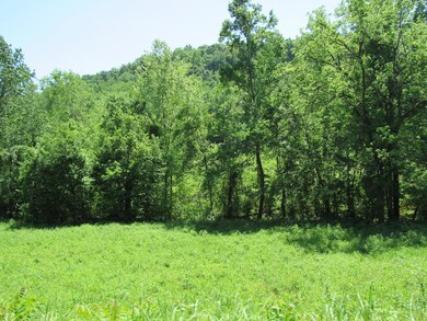 1890 Mayberry Prong Rd, Linden, TN 37096 - photo 7