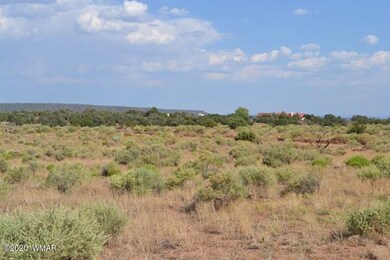 8775 E Concho Highway 010