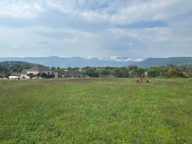 0 Eagle Bluff Rd, Jacksboro, TN 37757 - photo 5