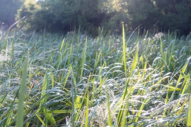 000 State Highway 155, Frankston, TX 75763 - photo 7