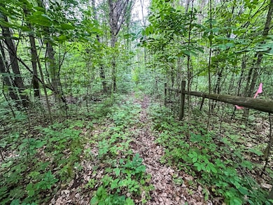 TBD U S 12, Wilson, WI 54027 - photo 5