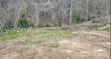 902 Spillcorn Rd, Marshall, NC 28753 - photo 3