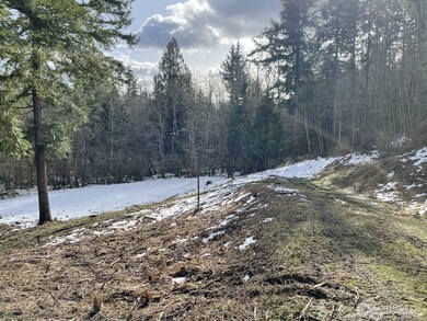 6123 139th Ln SW, Rochester, WA 98579 - photo 4