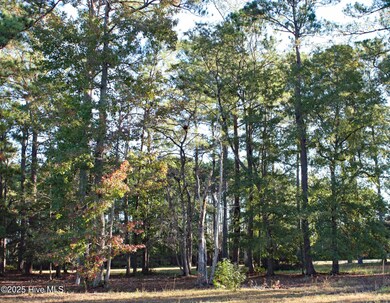 598 Lindgrove Place SW, Ocean Isle Beach, NC 28469 - photo 6