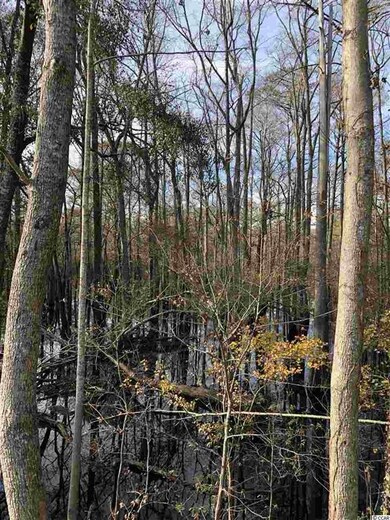 10A Bear Bluff Dr, Conway, SC 29526 - photo 7